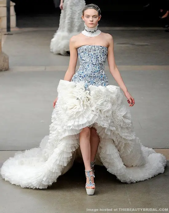 Alexander Mcqueen Fall 2011 Dress